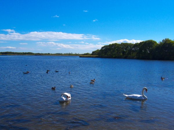 苫小牧市を代表する景勝地「ウトナイ湖」