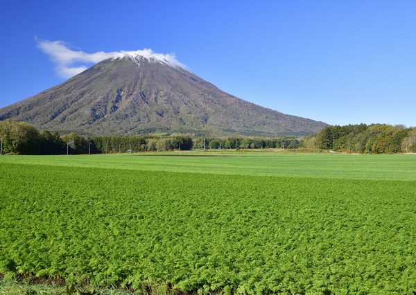 京極町のシンボル「羊蹄山」