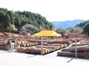 地元の優良な木材を産直価格で提供。建築費を抑えて家づくりができるのも魅力