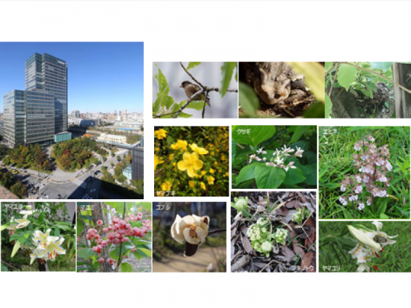 大日本印刷株式会社
サステナビリティ推進委員会 事務局 局長 鈴木 由香 氏