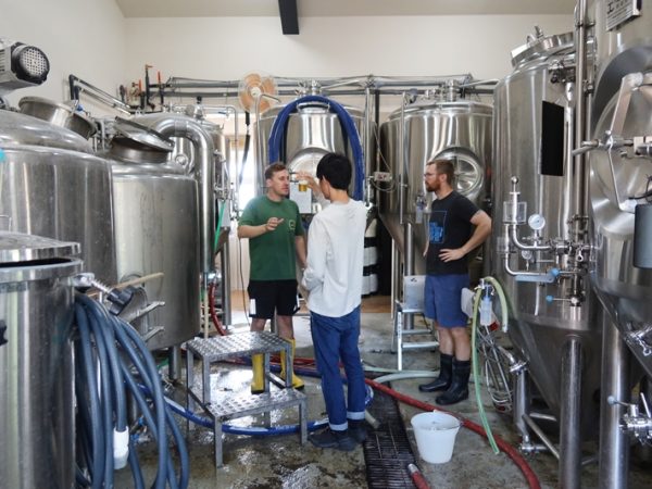 「JAPAN BREWERS CUP 2024」のIPA部門で1位に選ばれたオクトパスキング。味、香りはもちいろん、記憶に残るネーミング、イラストのデザインも特徴
