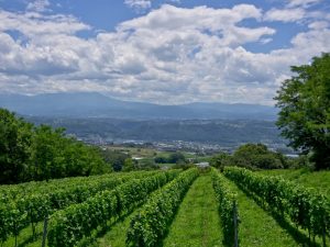 東御市では住宅の貸し出しや補助金事業など、新規参入者への支援を行っている