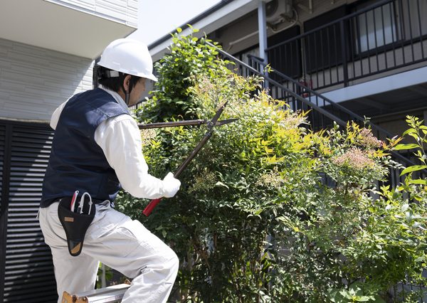 さまざまな空き家管理サービスがある（画像はイメージ）