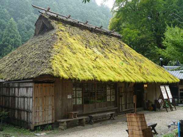三州足助屋敷の茅葺きの家。この屋根も修繕が必要だ