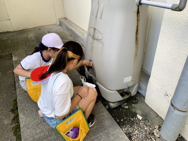 まずは雨水を貯めて、それを利用してロケットを飛ばすというやり方で雨水について子どもたちに関心を持ってもらった（写真提供/アクアソフィア・水教育研究所）