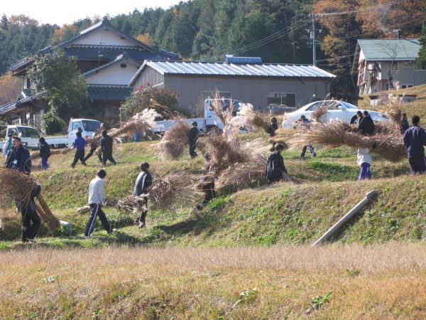 茅場の一例（写真提供：立松さん）