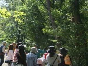 支援を通じた変化は最初に子どもに現れる