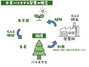 木質バイオマス発電の概念図（筆者が作成）
