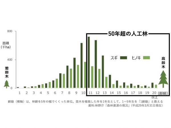 木質バイオマス発電の概念図（筆者が作成）