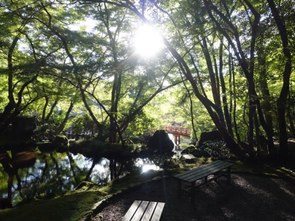 建築学生ワークショップ醍醐寺 2024　公開プレゼンテーション会場の様子（提供：AAF）