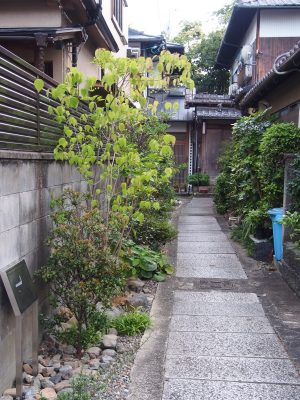 「京つむ木」プロジェクト。路地の奥に4棟の京町家を新築した