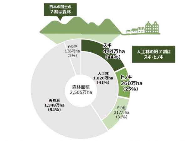 木質バイオマス発電の概念図（筆者が作成）
