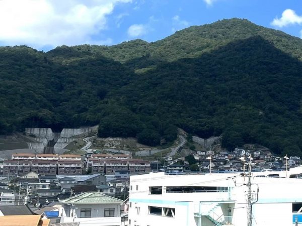 崩壊跡は既に緑に包まれつつある