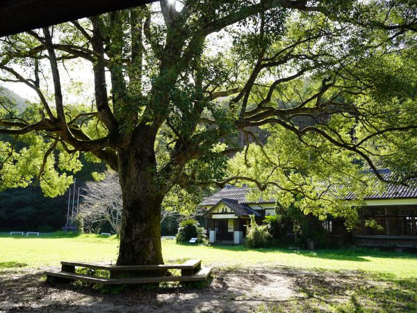 リバーバンク森の学校