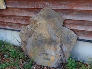 限界集落をITを駆使、食料だけでなく、水や電気なども自給自足できる現代集落に作り替えようというプロジェクトが進行している