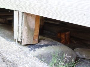 基礎の石の上で建物が少し動いていたことが分かる