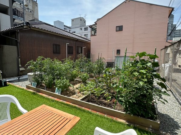 角野氏はおさんぽ畑をさらに増やして地域貢献につなげたいと話す