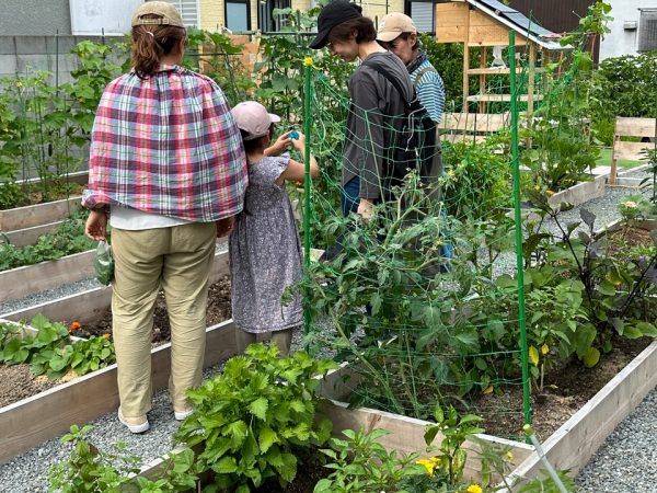 角野氏はおさんぽ畑をさらに増やして地域貢献につなげたいと話す