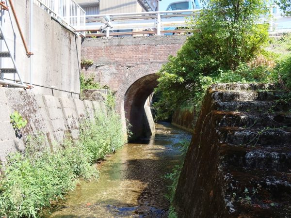 中村高畠用水。用水脇から巨木が伸びており、印象的な風景