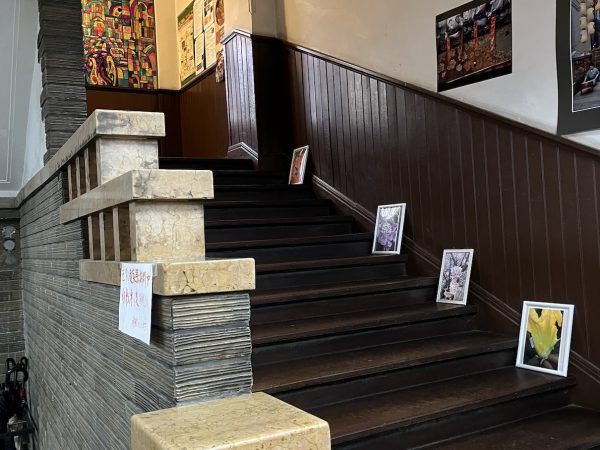 ケヤキの1枚板と大理石を使用した正面玄関の階段