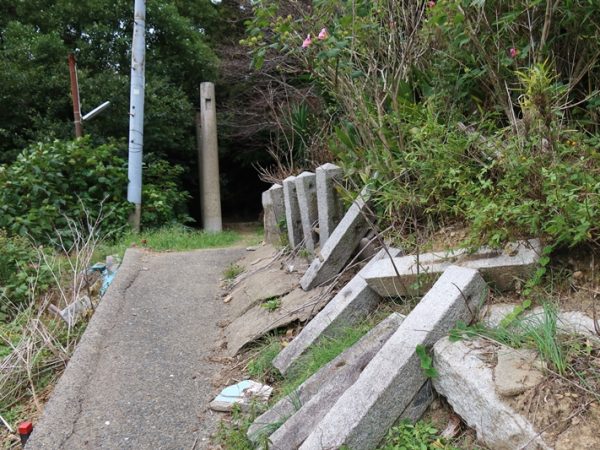 A棟の背面。少し離れて斜面があり、そこからの緑が繁茂、廃墟感が強い