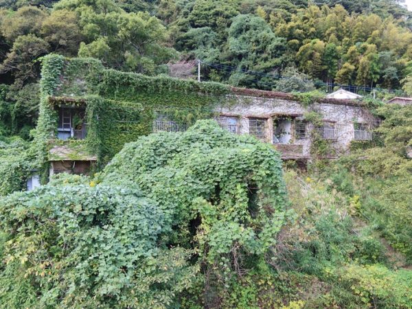 A棟の背面。少し離れて斜面があり、そこからの緑が繁茂、廃墟感が強い