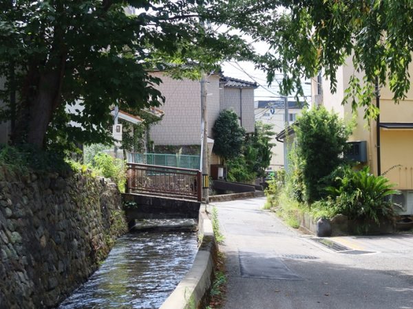 中村高畠用水。用水脇から巨木が伸びており、印象的な風景