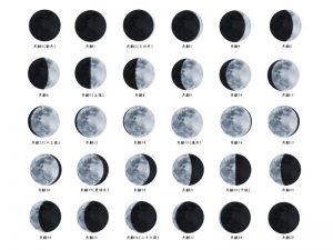 月の満ち欠けの周期は29.53日なので、旧暦では29日の小の月と30日の大の月が交互に巡る。しかし、1年で10.8822日の季節のずれが起こるので、3年ごとに閏月を加えて、1年を13ヶ月にして調整した