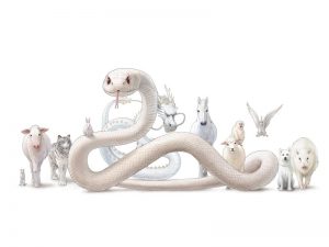 巳年に当てられた蛇は、脱皮することから復活や再生の象徴とされ、知恵や狡猾といったイメージが付加されることが多い