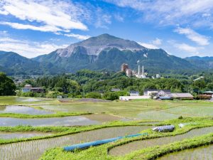 横瀬町苅米地区の寺坂棚田と武甲山