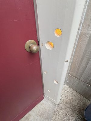 （イラスト：宮沢洋）