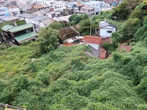 緑に飲み込まれている空き家群。中心部から少し離れるだけでこんな風景