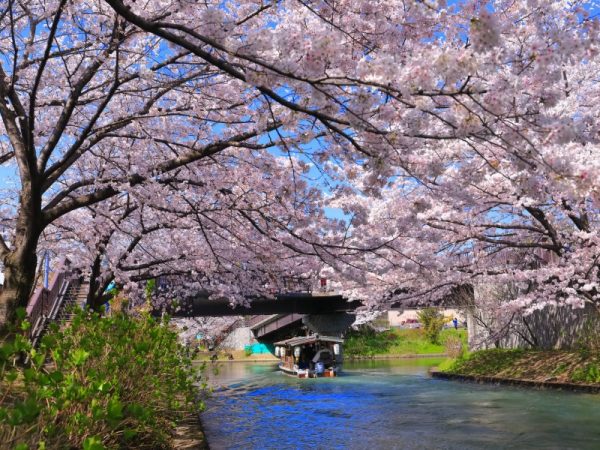 大阪発展の礎となった「淀川舟運」。流域でのかわまちづくりや淀川大堰
