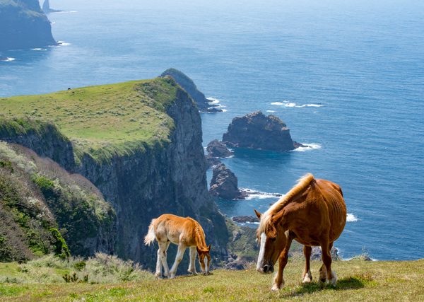 百人一首に詠まれる最北の名所は日本三景のひとつ松島