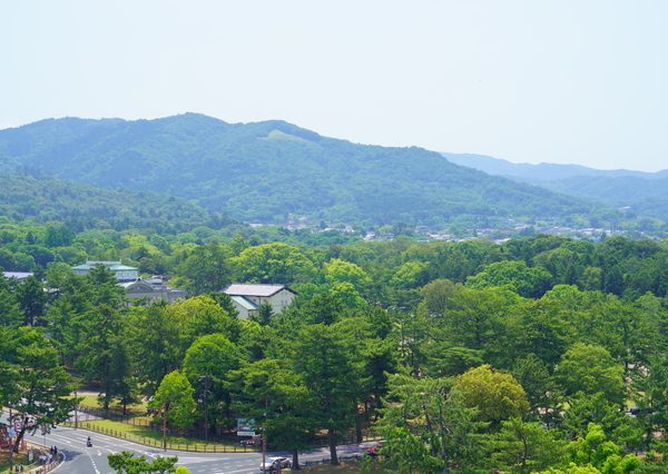 田子の浦からみる富士山は、百人一首にも詠まれている