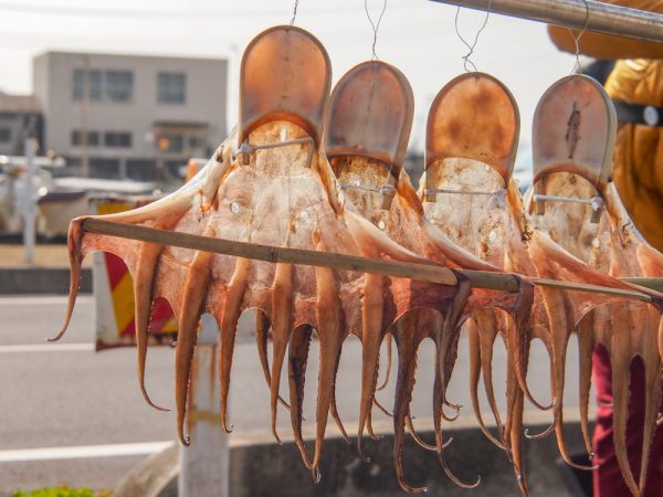 下津井漁港の様子。背後に見えるのは瀬戸大橋