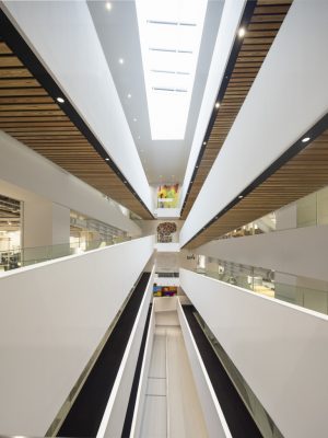 中心のスロープで北側と南側の建物がつながる構造。半階ずつ階層が上がるため、上下階が見渡しやすい（画像提供／STATION Ai）