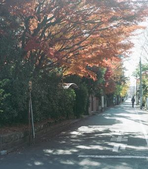 学園町には歴史的な建築物も数多く残っている。築年数が嵩んでいるため建物を維持することは容易ではないが、改修などを施しながらこういった建物を受け継ぎたいという人もいるだろう。または何か別の手段もあるかもしれない
