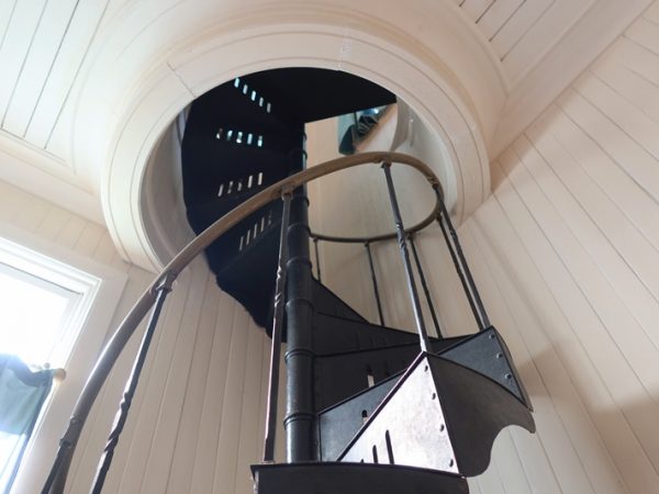 ２階のサンルーム。南の島をイメージしたのかもしれないと思うと印象深い