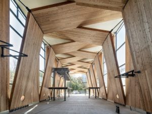 開放感のある天井高を確保した意匠性の高いデザインは大スパンが可能なCLTならでは（提供：大成建設株式会社）