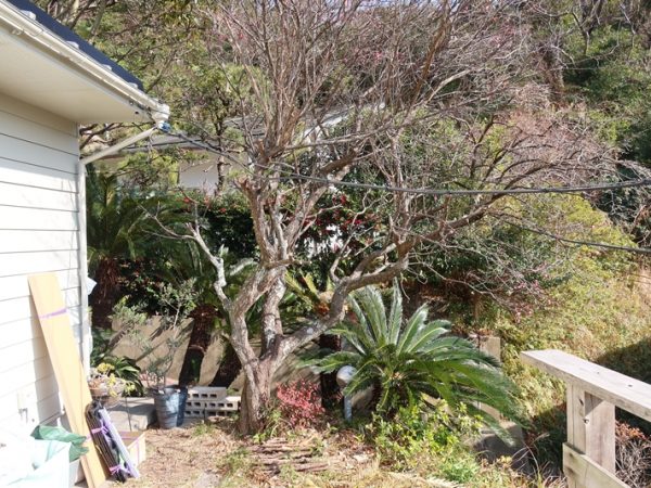 断熱改修にはある程度セオリーがあるので、それを学んでおくのが良いということだろう。太陽光発電はぜひ