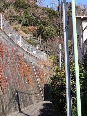 内田さんが購入した築36年の木造一戸建て。高台にあり、全景を撮影するのが難しい