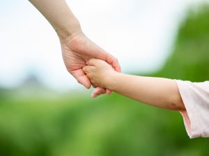 5つの段取りの入念な情報収集をもとに自分たちにベストな環境を考えよう 