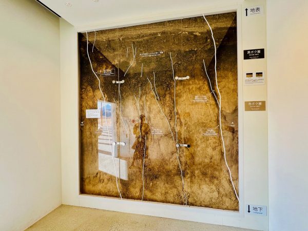 ▲展示室1では、崩落した阿蘇大橋の看板や押しつぶされた車両など、震災遺物の展示・被災状況の写真から「その時」を振り返る