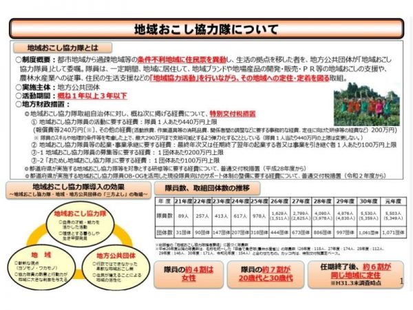 地域おこし協力隊の概要（出典：総務省）