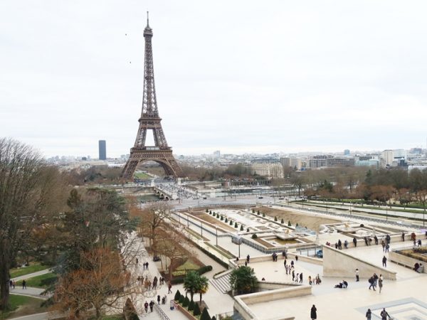 ウッドデッキ部分はすでに色が変わり始めている。無塗装で変化は早い（撮影/八代写真事務所）