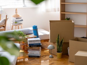 障害と折り合いをつけて、家と外の両輪で安定した暮らしを楽しもう