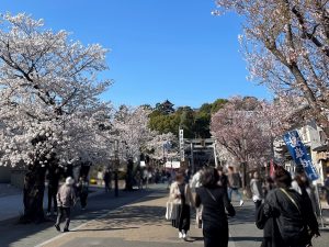 食べ歩きグルメや着物レンタル、伝統工芸体験、カフェ巡りなどが楽しめる歴史情緒あふれる犬山城下町
