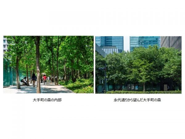 左：大手町の森の内部。右：永代通りから望んだ大手町の森（出典：「TSUNAG 優良緑地確保計画認定制度」サイト）