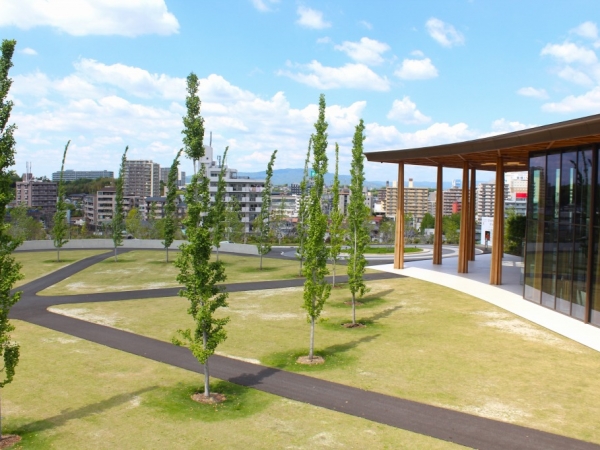 敷地を贅沢に生かした「豊田市博物館」。まちに開かれた博物館としてにぎわい創出も担う